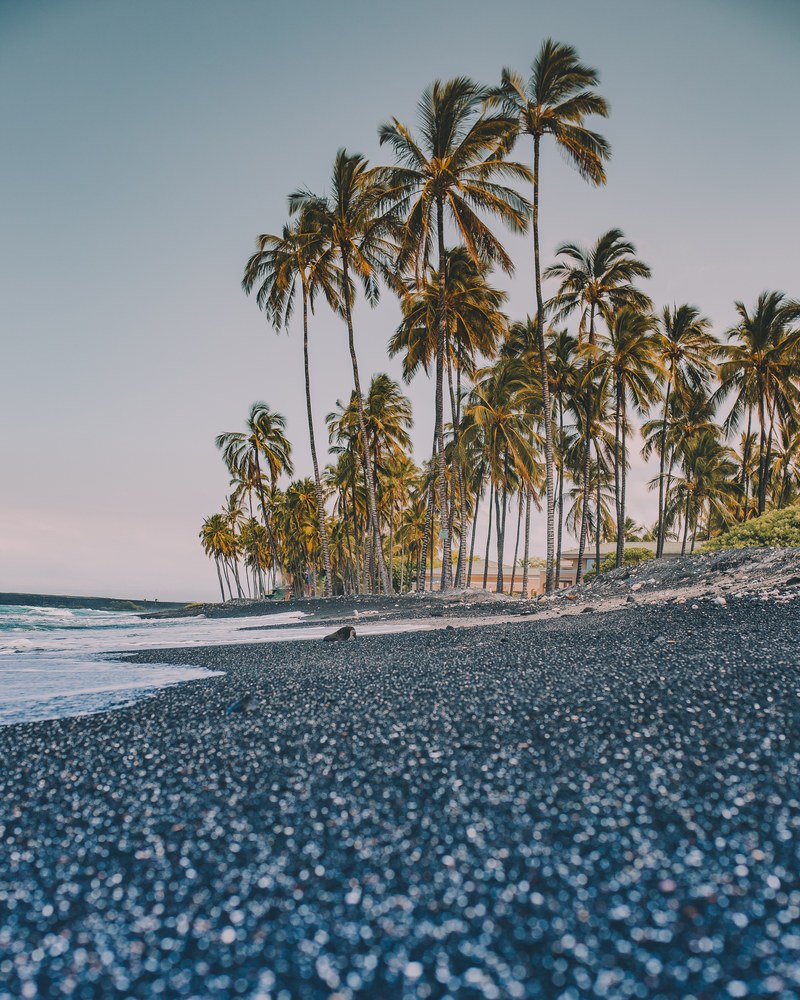 have you ever seen a black sand beach 4k
