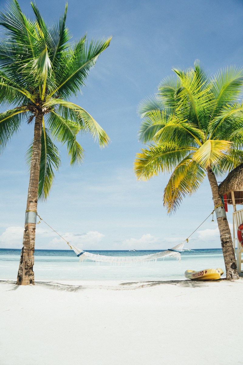 two tall trees connecting a hammock on a tropical beachfront, _a place to chill 4k