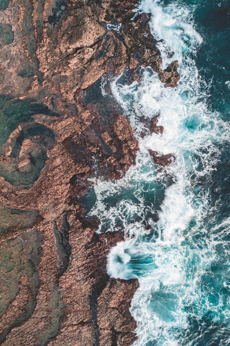 low tide finds 4k