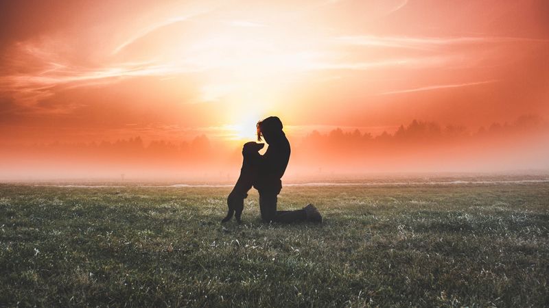 silhouette, dog, man, field, fog, 4k