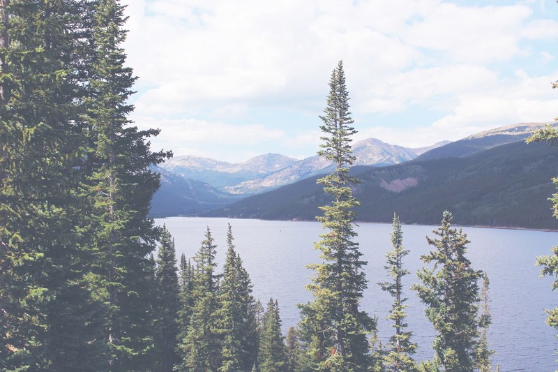a mountain lake partly obscured by pine treetops in leadville, pine trees by the mountain lake 4k