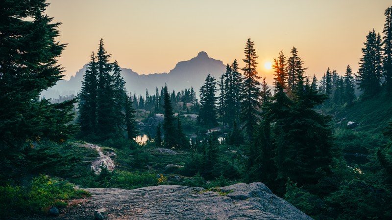 smoky morning in cascades 4k