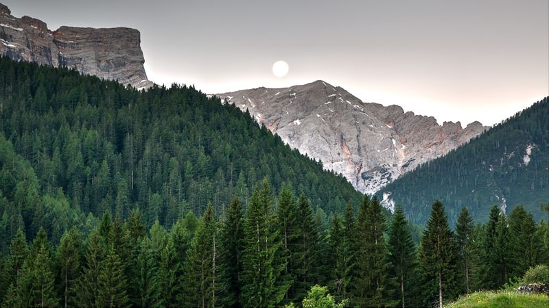 mountains, trees, sky, 4k