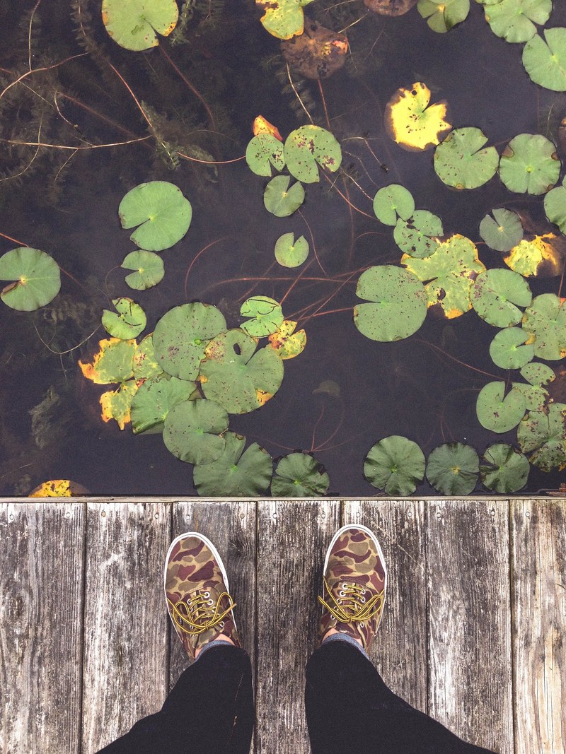 an overhead shot of a persons feet on a wooden deck next lily pads on a pond, looking at the lily pads on a pond 4k