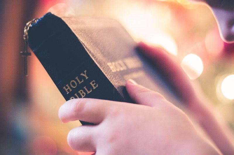 a person holding the holy bible, _holding holy bible 4k
