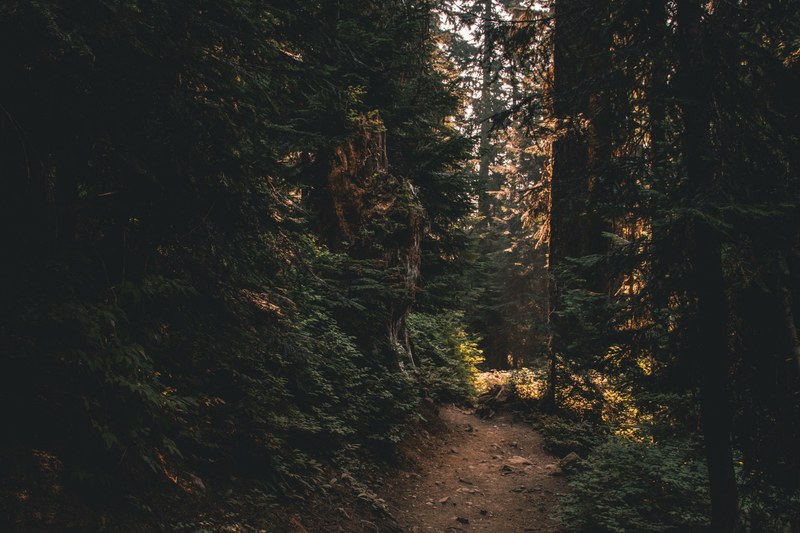 forgotten path 4k