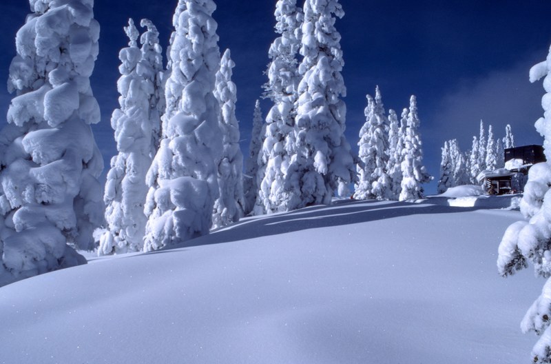 looking uphill toward a cabin in the forest after a heavy snowfall, cabin in winter forest 4k