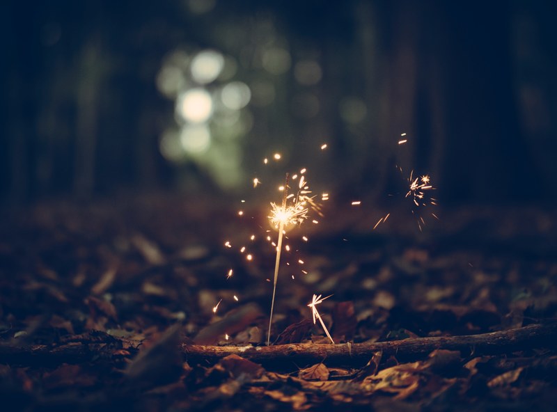 sparkle spark sparkler and twig 4k