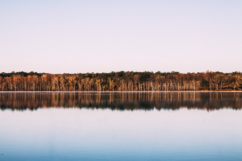 view across a lake on autumn trees on the other shore, still lake in the autumn 4k