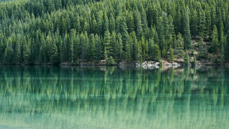a wooded shore seen across an emerald green lake in banff, crystal clear lake in banff 4k