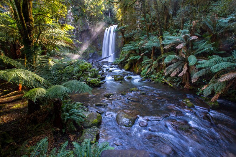 a waterfall pouring into a frothy stream in a forest, blue stream with a waterfall 4k
