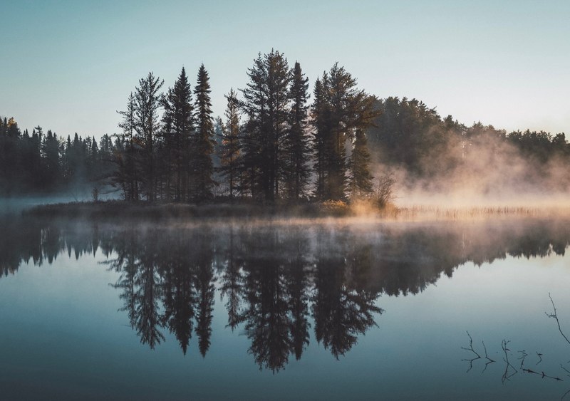 the reflection of evergreen trees in the lake on a foggy day, wooded lake island 4k