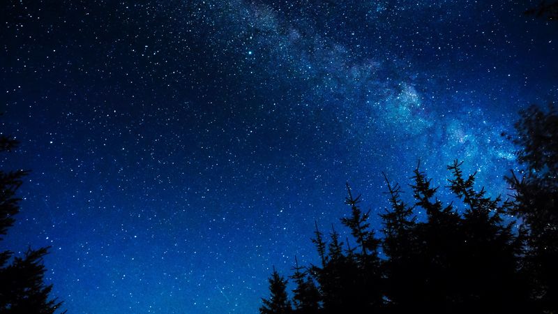 starry sky, night, stars, glitter, trees, 4k HD Wallpaper