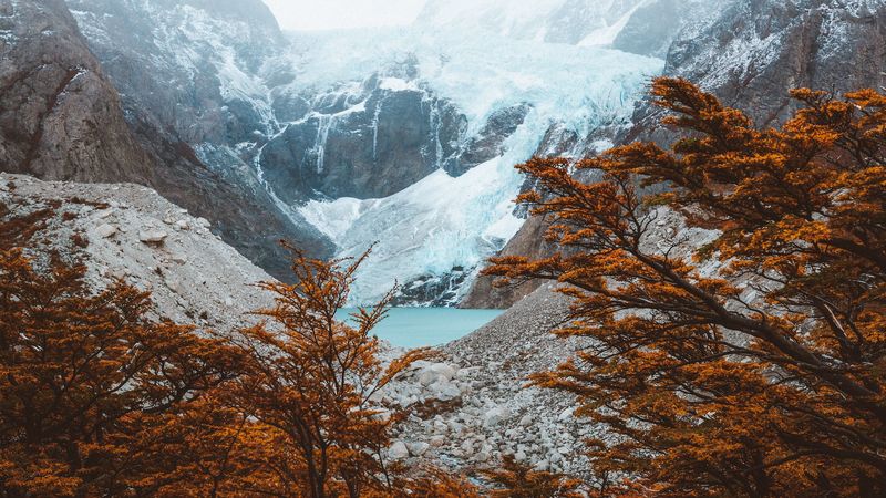 el chalten, argentina, mountains, lake, trees, 4k