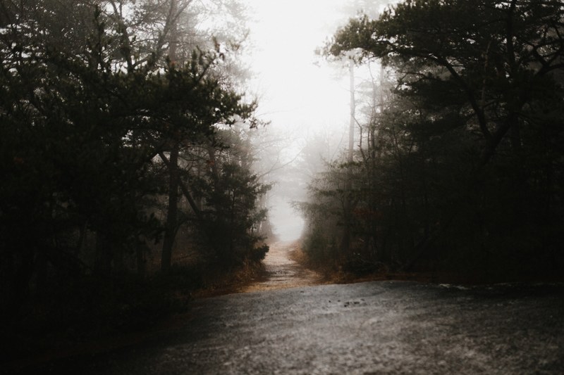 a wide path in the forest covered by fog in stone mountain state park, lost 4k