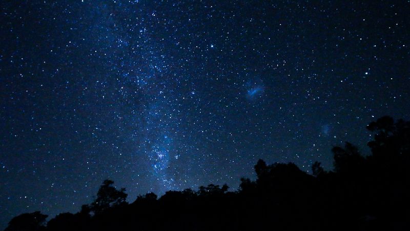 space, starry sky, trees, stars, 4k