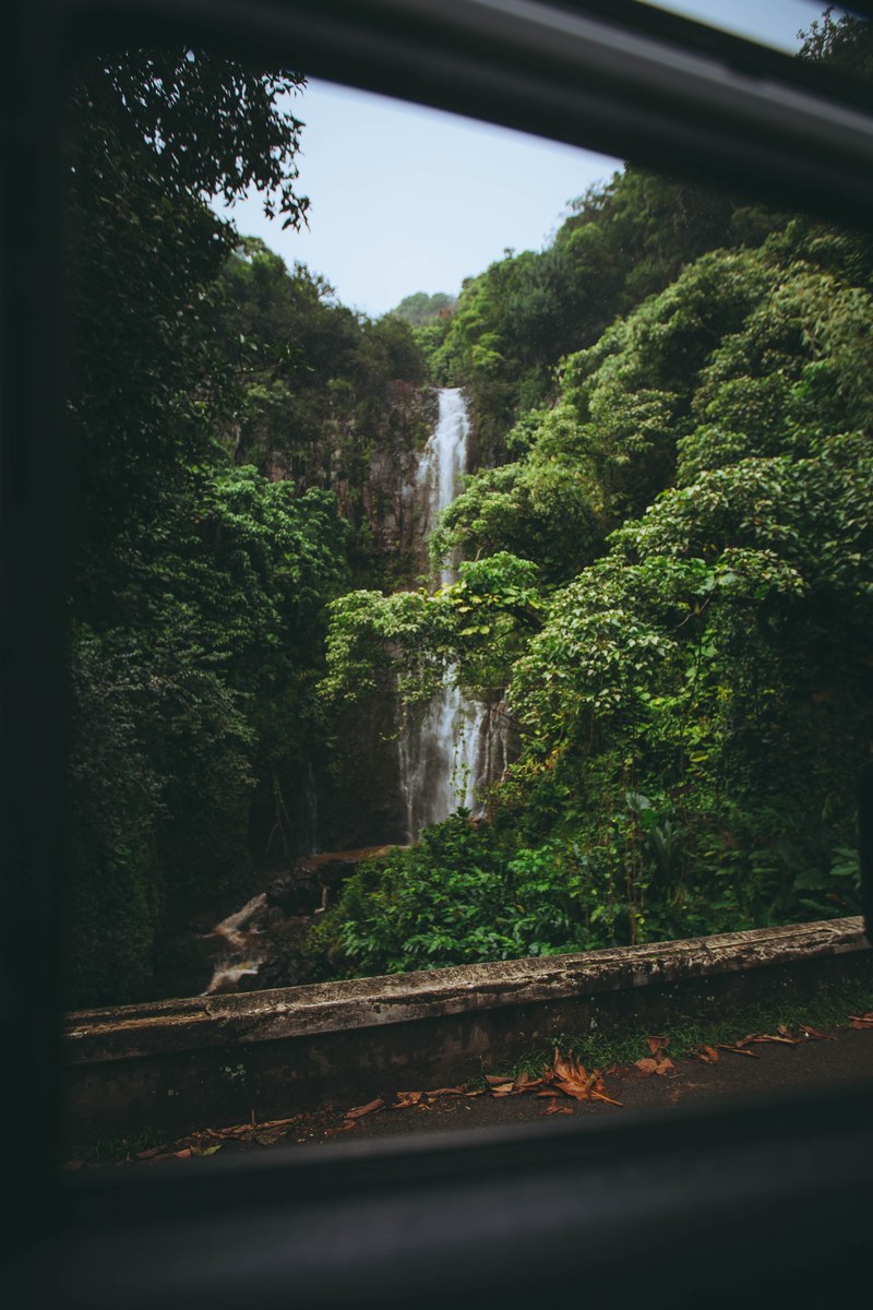 jurassic park 4k