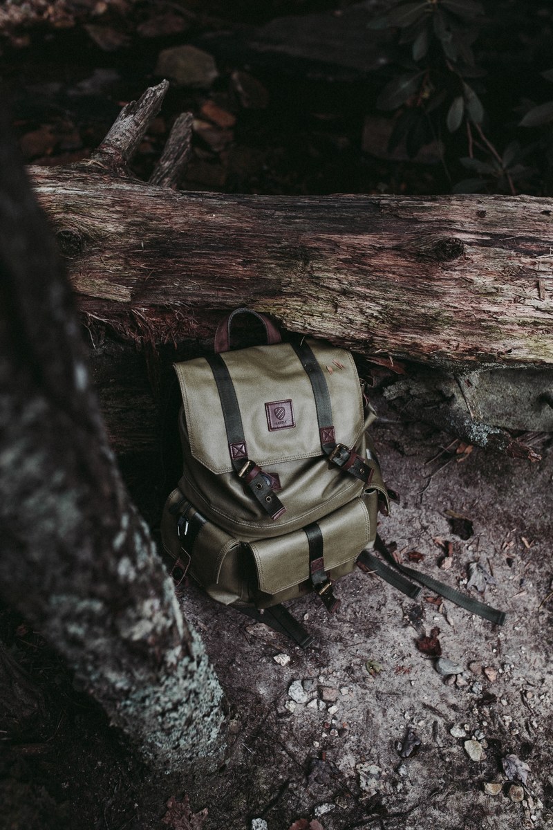 backpack wood tree and log hd, 4k