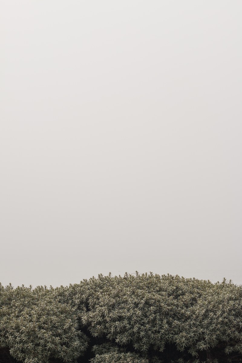 morning fog helsinki 3 4k