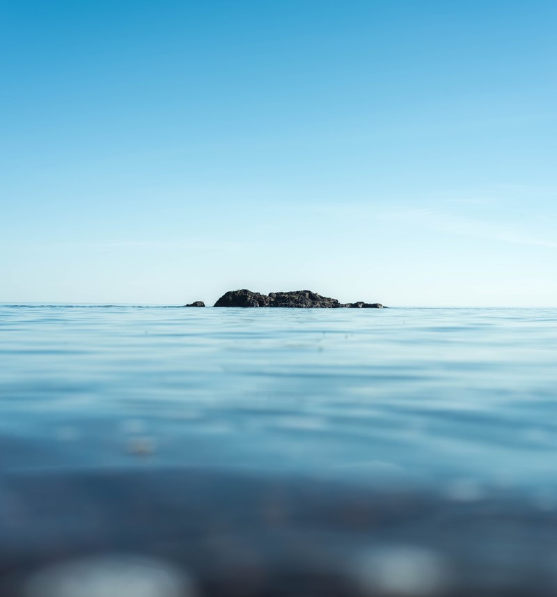 lonely 4k