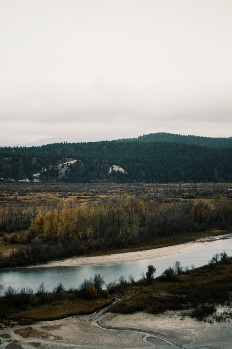 a river surrounded by shrubs and forested hills, small river by the hills 4k