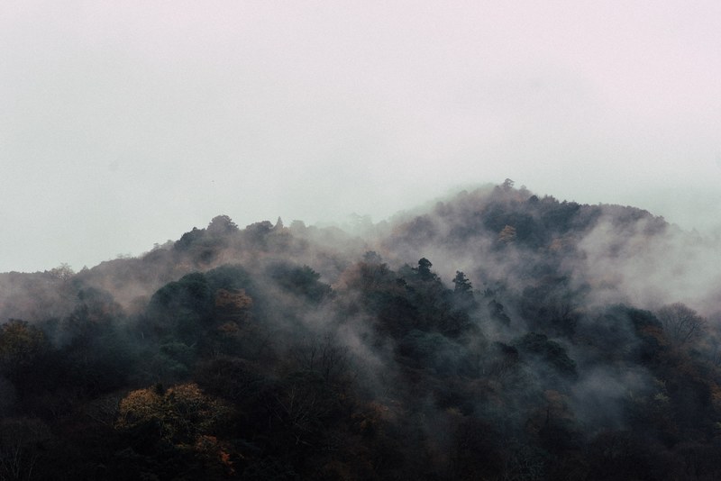a morning haze over wooded hills in arashiyama, arashiyama kyoto japan 4k