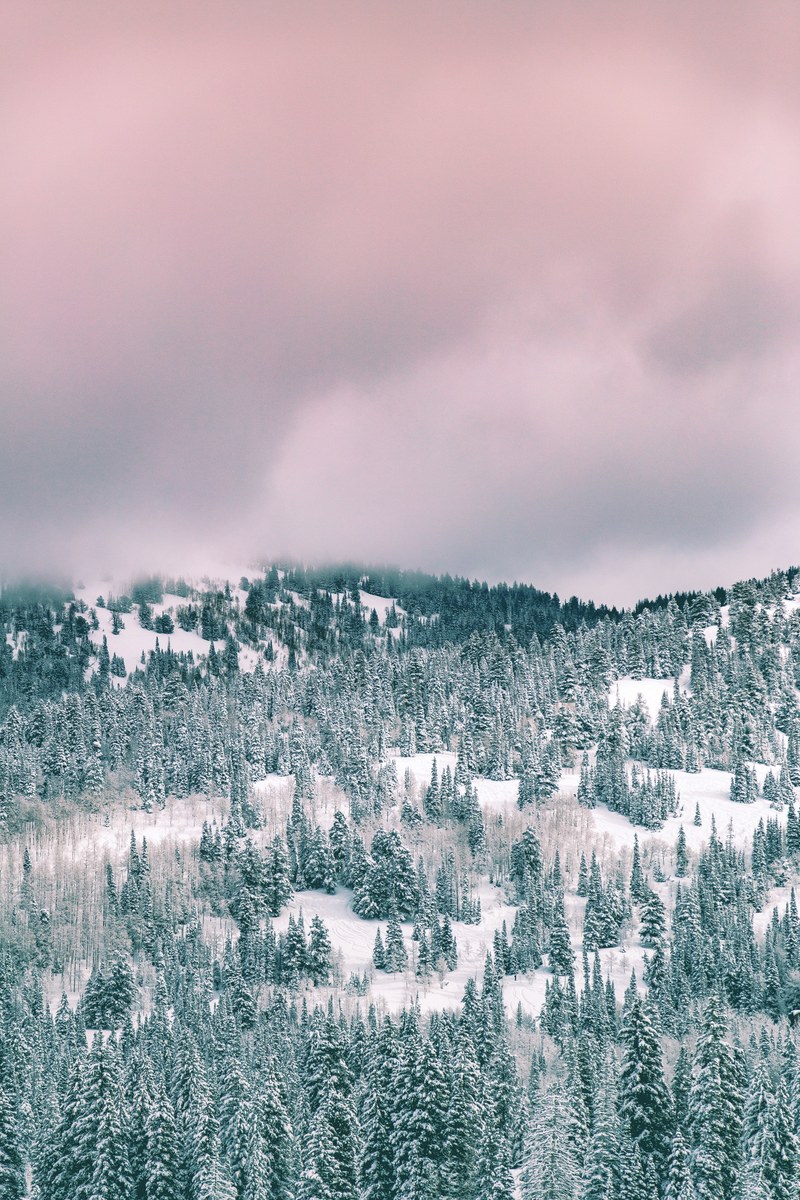 a purple cloud sky above a winter forest in solitude nordic center, winter tones 4k