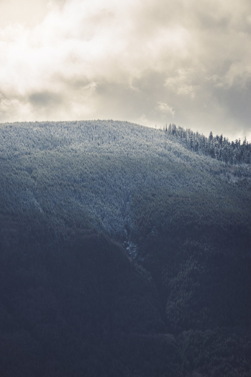 a tall wooded hill under an overcast sky, in the mountains again 4k