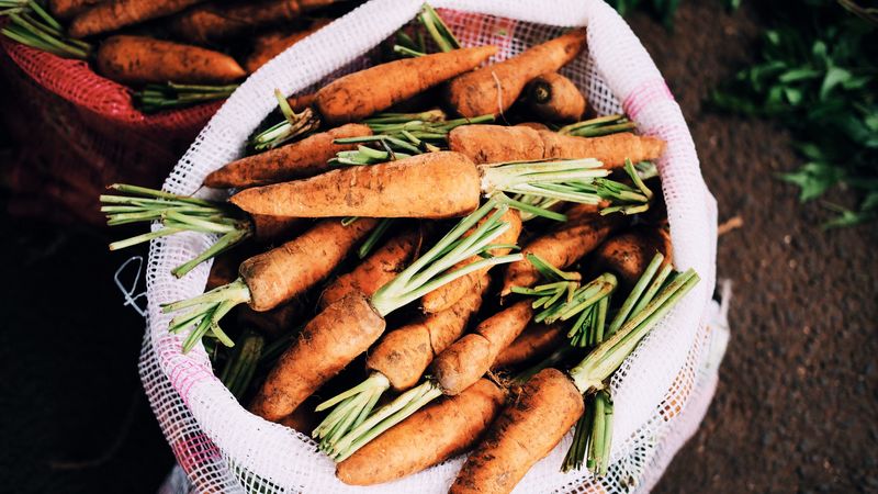 carrot, bag, vegetables, 4k