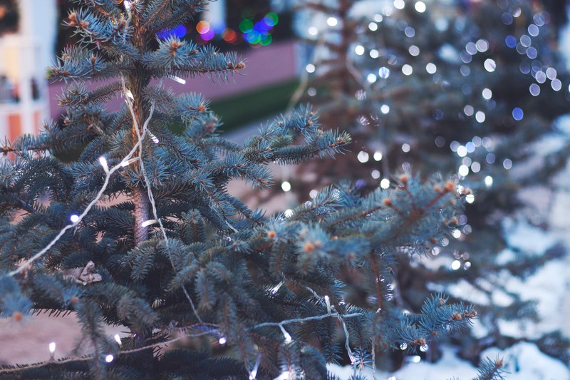 a christmas tree with white and colored string lights on it, christmas tree 4k