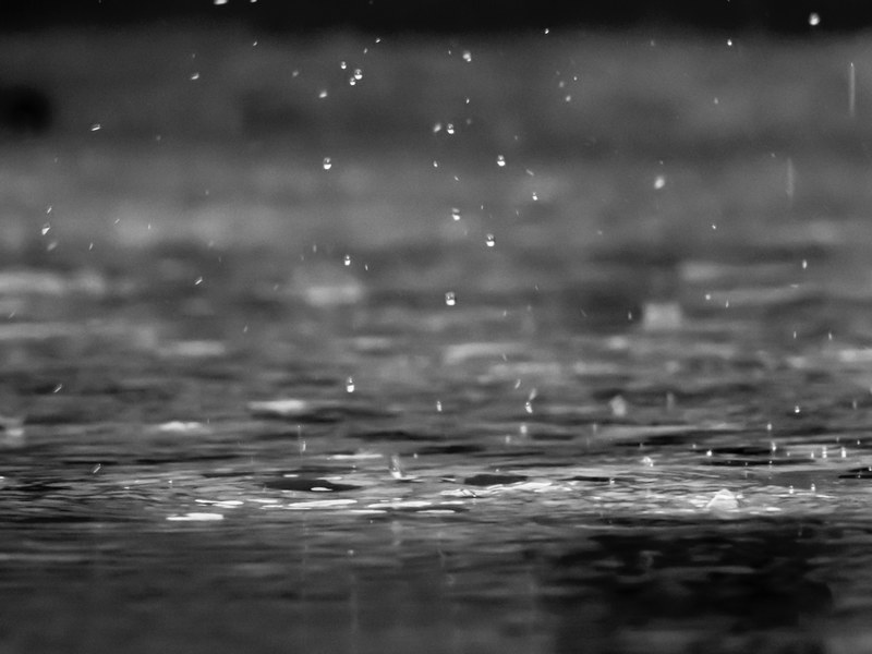 rain drop water and water drop 4k