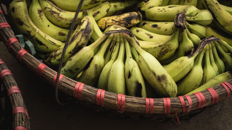 bananas, bunch, fruit, 4k