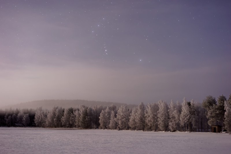 a forest covered in snow lined down a large field in lapland finland, winter in lapland 4k