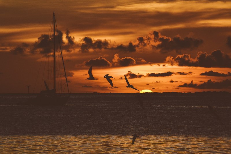 silhouette seagull flying over water and a single silhouette boat floating in the showdown waters during sunrise or sunset and the sky is orange, silhouette seagulls flying over boat 4k