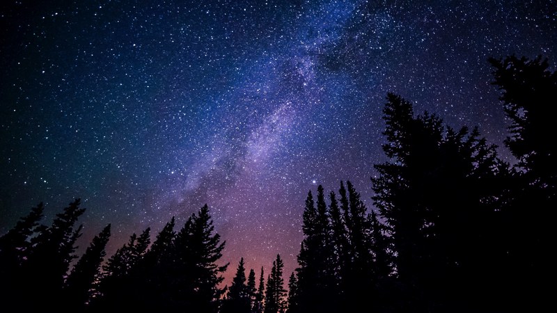a low angle shot of a purple hued night sky over silhouettes of coniferous trees, trees against purple night sky 4k