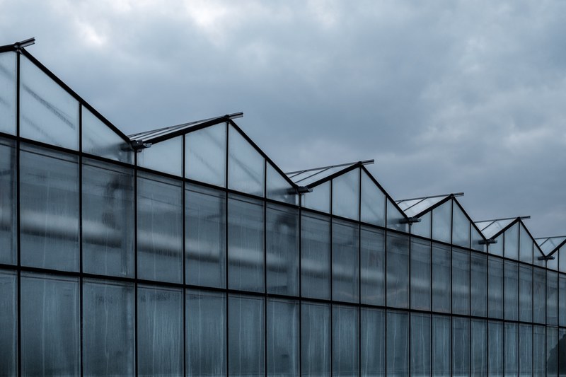 greenhouse glasshouse window and cloudy 4k