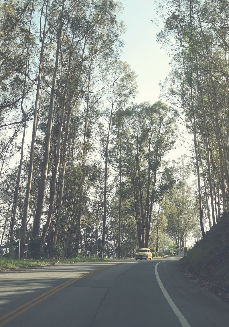 a yellow vintage car in the distance driving on a tree lined road, vintage car on a quiet road 4k