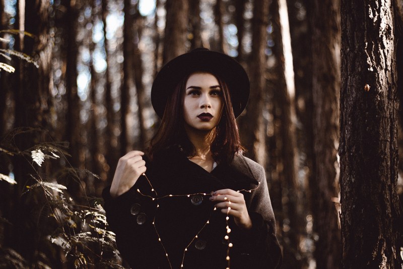 tree light fairy light and led 4k