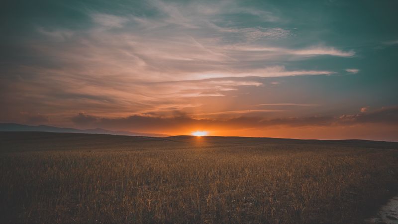 field, grass, sunset, sky, 4k
