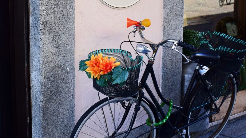 bicycle, basket, flowers, 4k