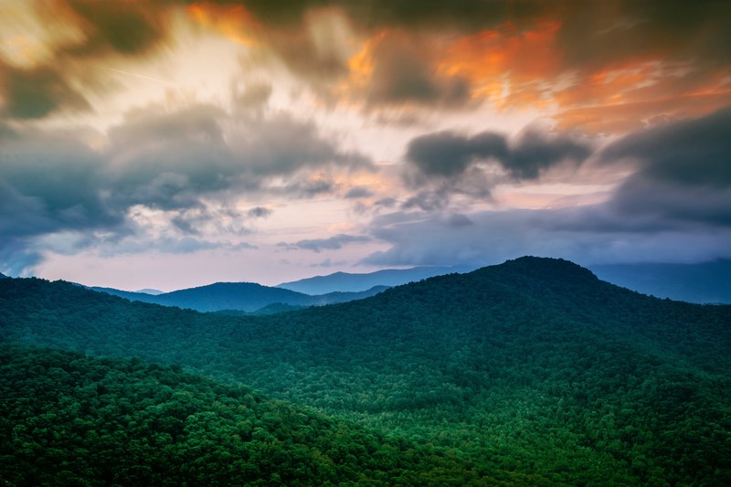 a forest blankets the hills of the jungle at sunset, the forest at sunset 4k