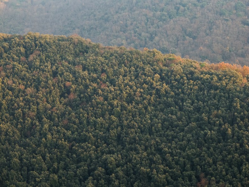 a drone shot of a vast forest near monte semprevisa, vast forest on hills 4k