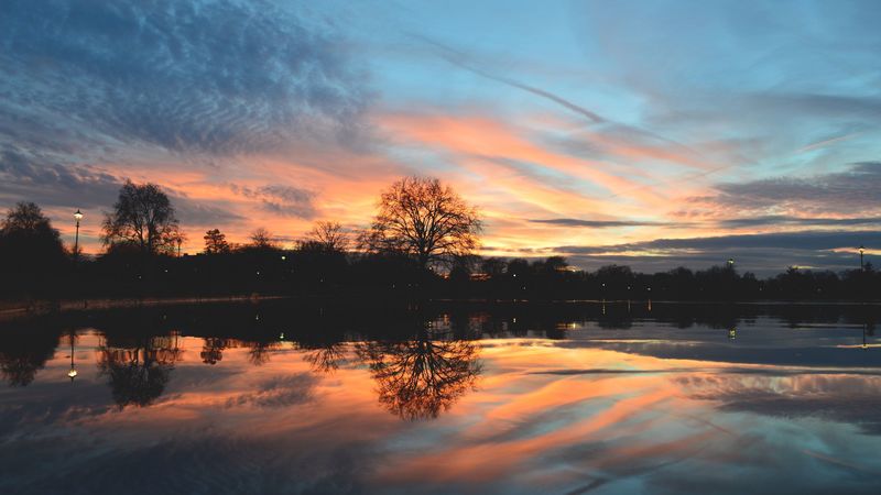 tree, lake, pond, evening, sunset, 4k