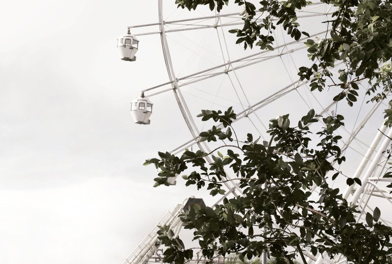 big wheel ferris wheel funfair and ride 4k