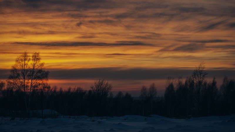 sunset, trees, winter, snow, 4k