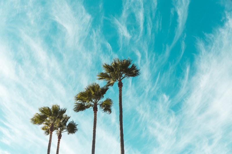 windswept skies 4k