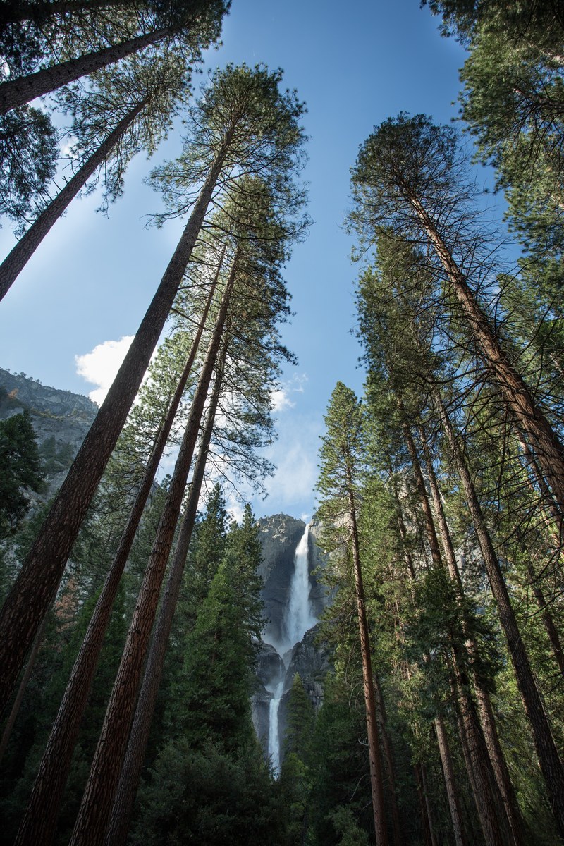 outdoor park yosemite fall and yosemite hd, 4k