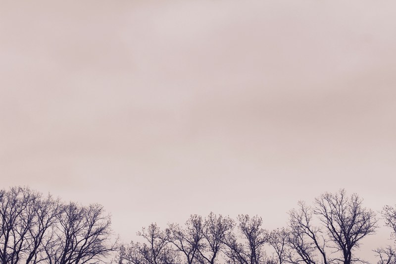 cloud copy space sky and tree 4k