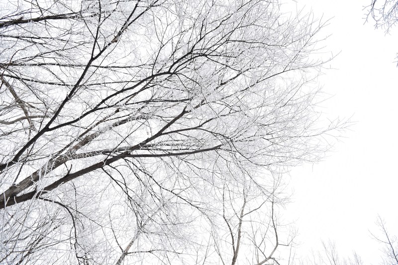 look up or you might miss it 4k