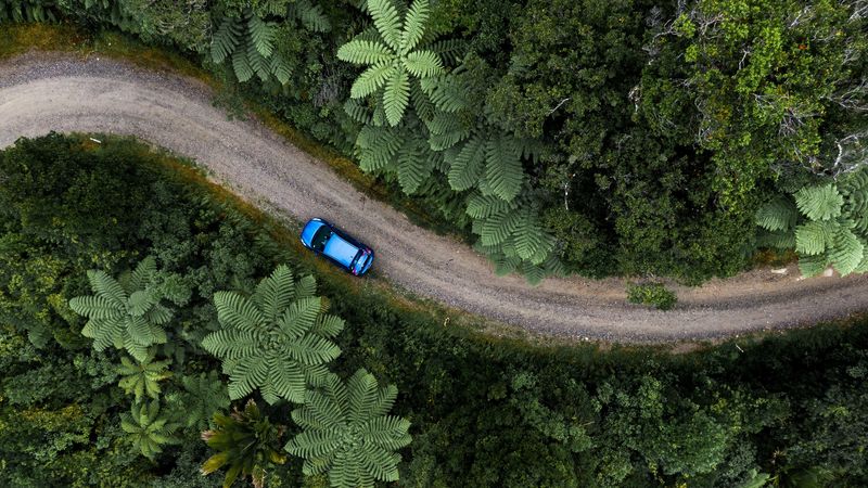 road, car, palm trees, aerial view, 4k